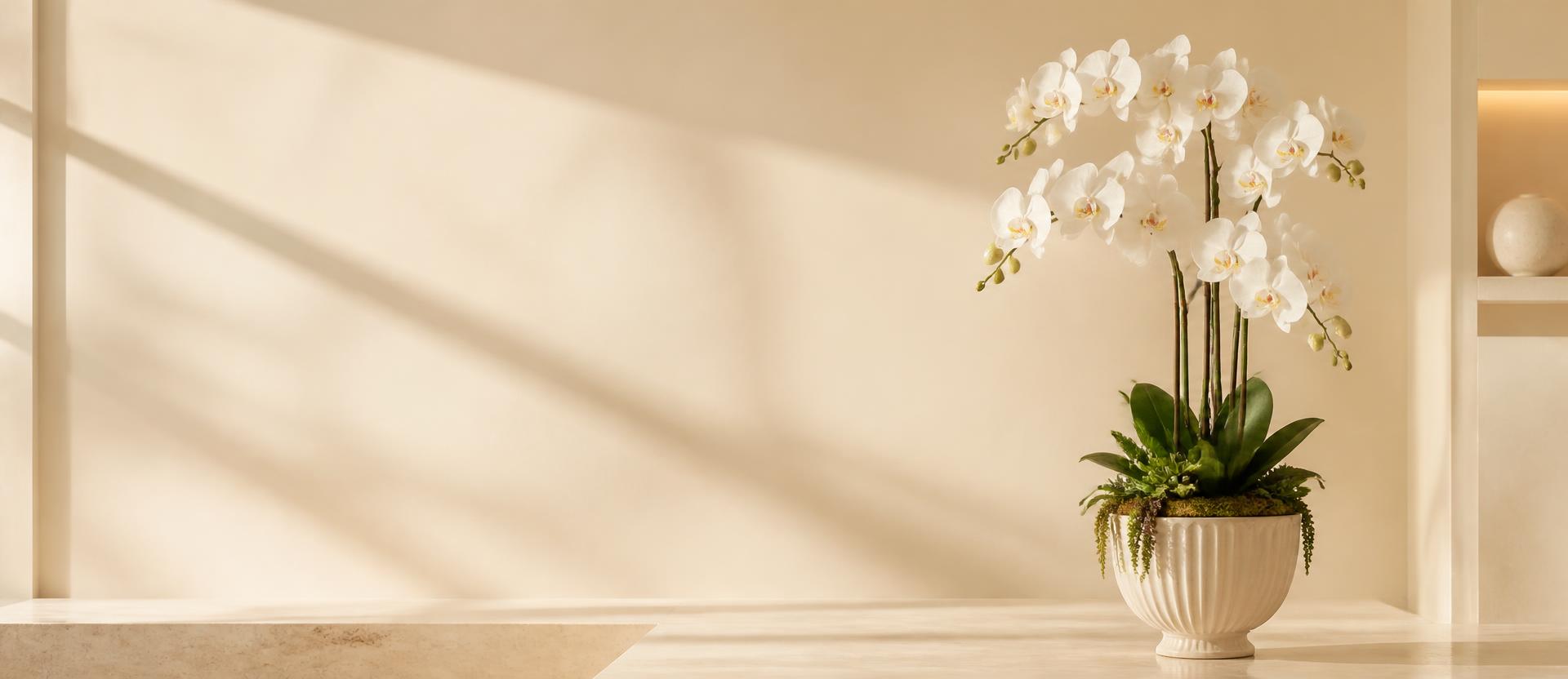 Fő hero banner: fehér orchidea, bal oldalon üres hely a szövegnek.